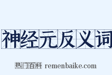 神经元反义词是什么意思的图片